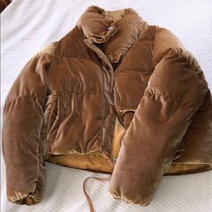 Miss Papp Gold Velvet Puffer Jacket